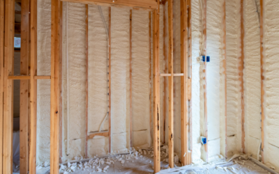 Home Page 15 Achieve Energy Efficiency and Pest Protection with Spray Foam Insulation